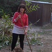 Dagmar B.