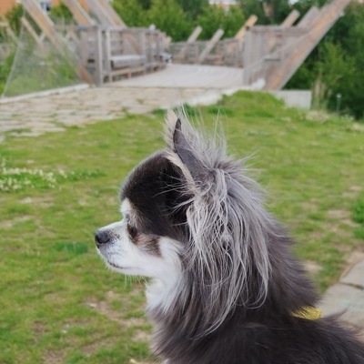 Jitka