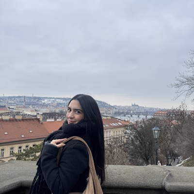 Nicole Valeria Perez Silva