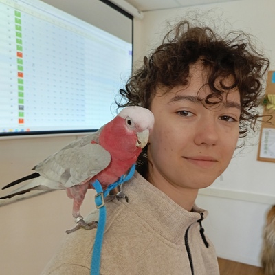 Karolína Elicharová