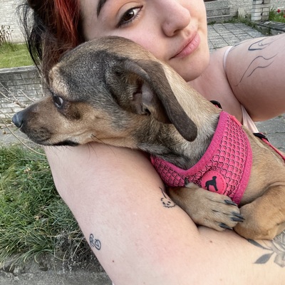 Mariana Catalina Maulénová Barrera