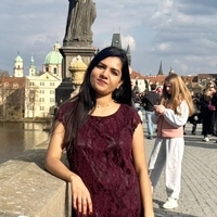 Mehwish R.