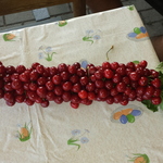 Photo from Zdenka’s gallery