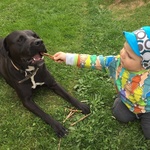 Fotka od hlídačky Katarína 