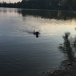 Fotka od hlídačky Katarína 