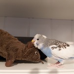 Fotka od hlídačky Nikola 