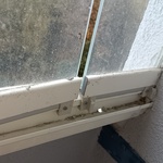 Photo from Veronika’s gallery