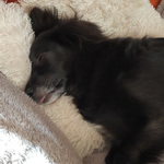 Photo from Marie’s gallery