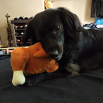 Photo from Marie’s gallery