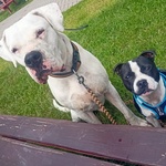 Fotka od hlídačky Soňa 