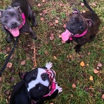 Fotka od hlídačky Soňa 