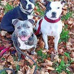 Fotka od hlídačky Soňa 