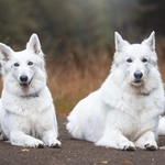 Fotka od hlídačky Soňa 