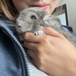 Fotka od hlídačky Michaela 