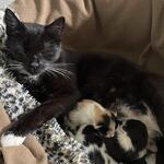 Photo from Natálie’s gallery