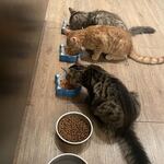 Photo from Natálie’s gallery