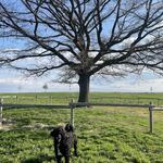 Photo from Natálie’s gallery