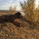 Fotka od hlídačky Vendula 