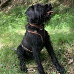 Fotka od hlídačky Vendula 