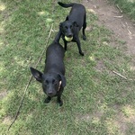 Fotka od hlídačky Vendula 