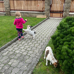 Fotka od hlídačky Michaela 