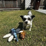 Fotka od hlídačky Michaela 