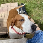 Fotka od hlídačky Simona 