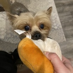 Fotka od hlídačky Simona 