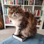 Fotka od hlídačky Radka 