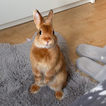 Fotka od hlídačky Tereza 