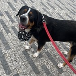 Fotka od hlídačky Tereza 