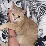 Fotka od hlídačky Tereza 