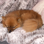 Fotka od hlídačky Tereza 