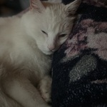 Fotka od hlídačky Tereza 