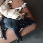 Photo from Marie’s gallery