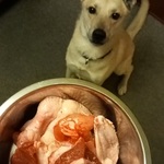 Photo from Marie’s gallery