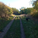 Photo from Marie’s gallery