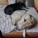 Photo from Marie’s gallery