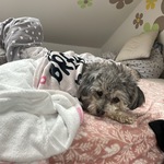 Fotka od hlídačky Lenka 