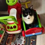 Fotka od hlídačky Lenka 