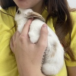 Fotka od hlídačky Lenka 