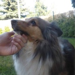 Fotka od hlídačky Lenka 