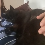 Fotka od hlídačky Lenka 