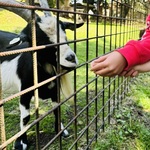 Fotka od hlídačky Terezie 