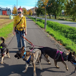 Fotka od hlídačky Kristiána 