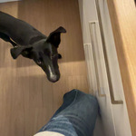 Photo from Angelika’s gallery