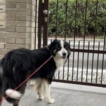 Photo from Angelika’s gallery