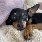 Photo from Angelika’s gallery