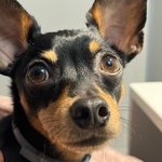 Photo from Angelika’s gallery