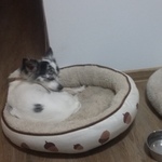 Photo from Petra’s gallery